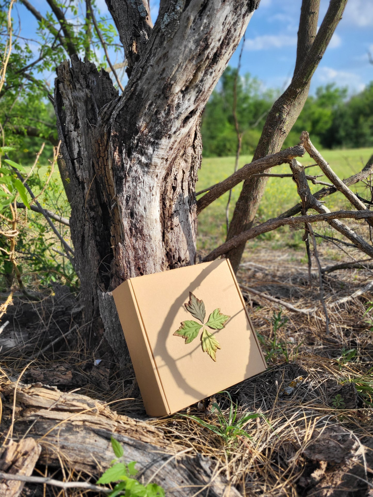 Muslim Heirloom Garden Gift Box