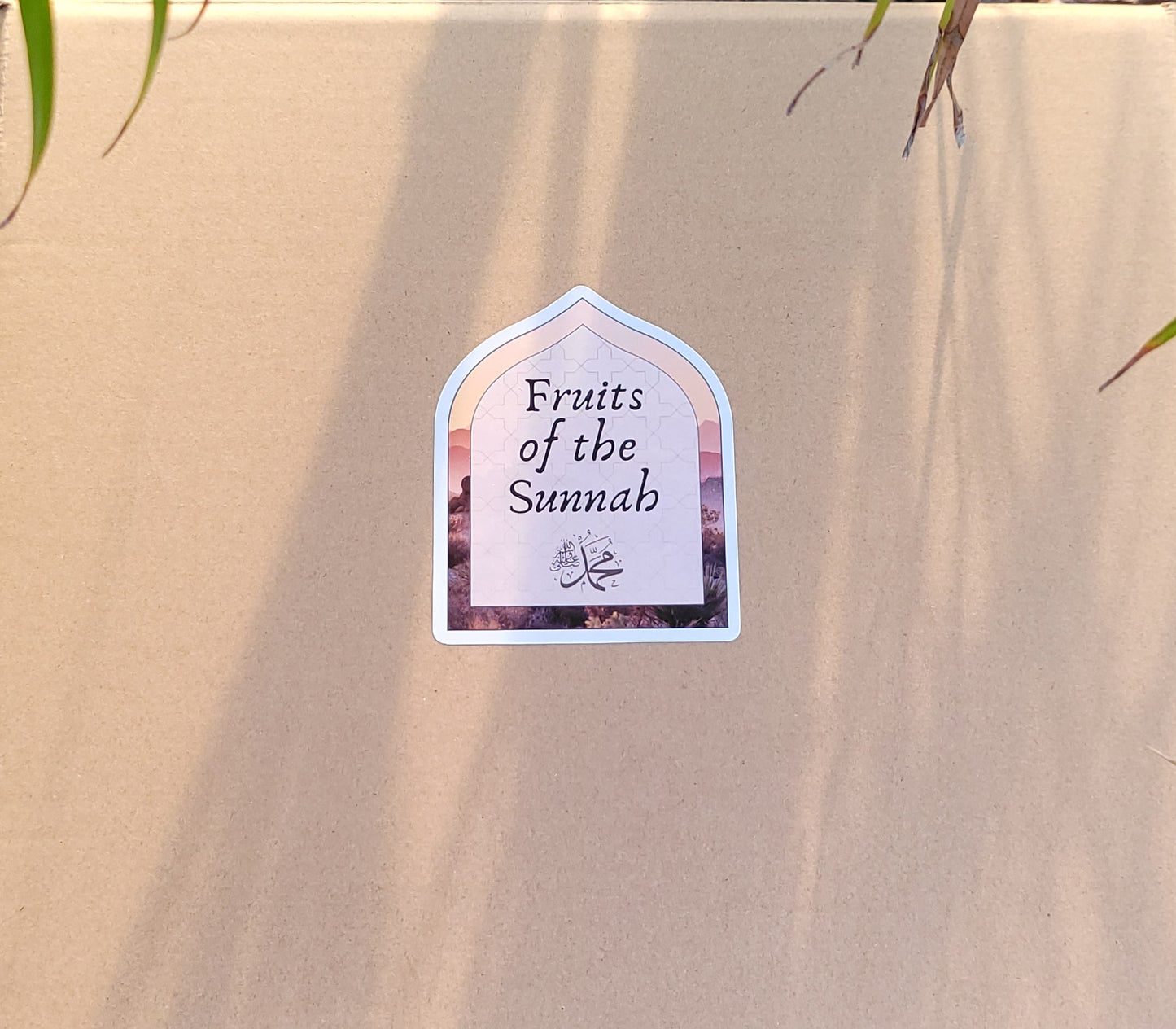 Fruits of the Sunnah Gift Box
