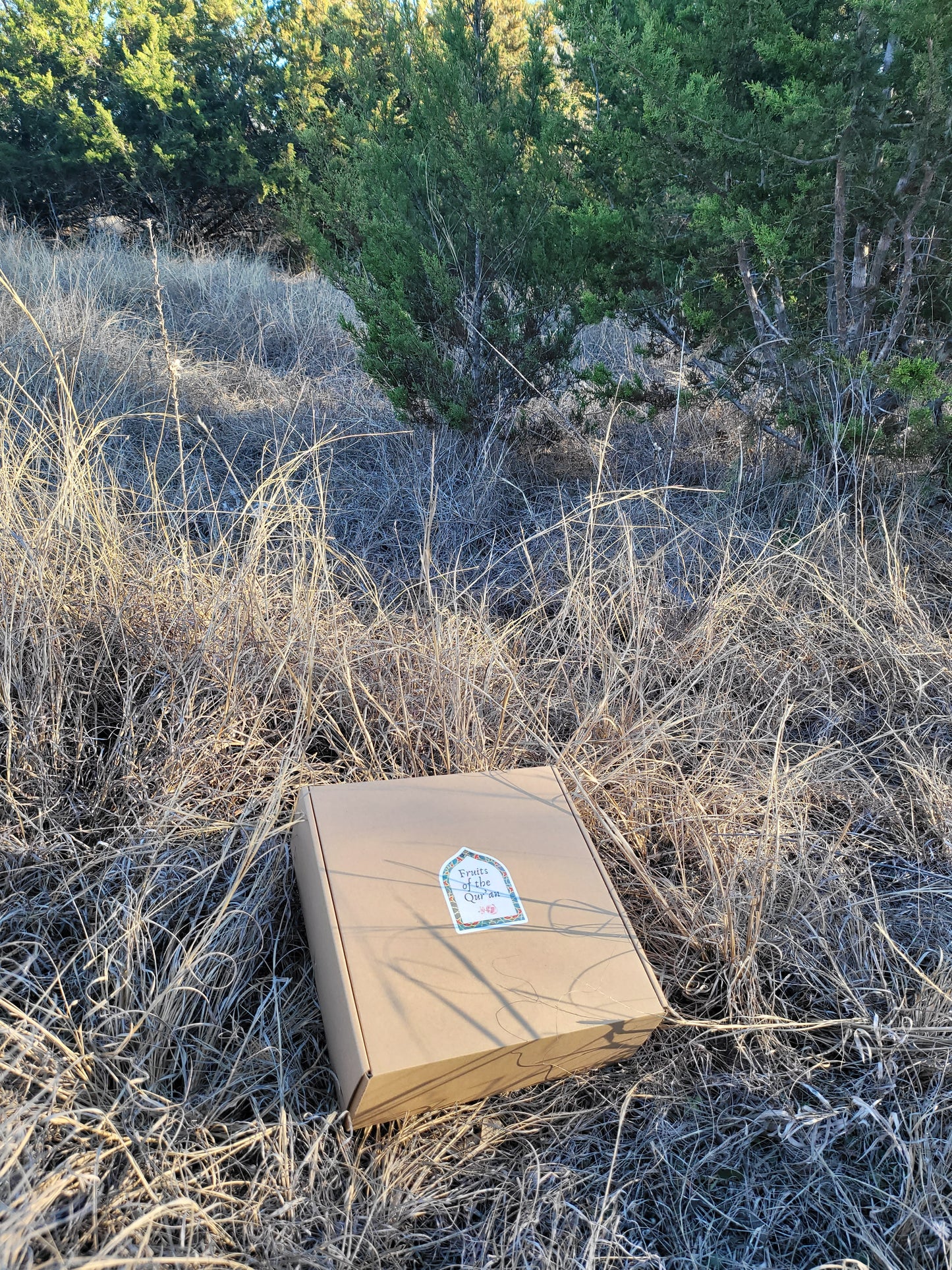 Fruits of the Qur'an Gift Box