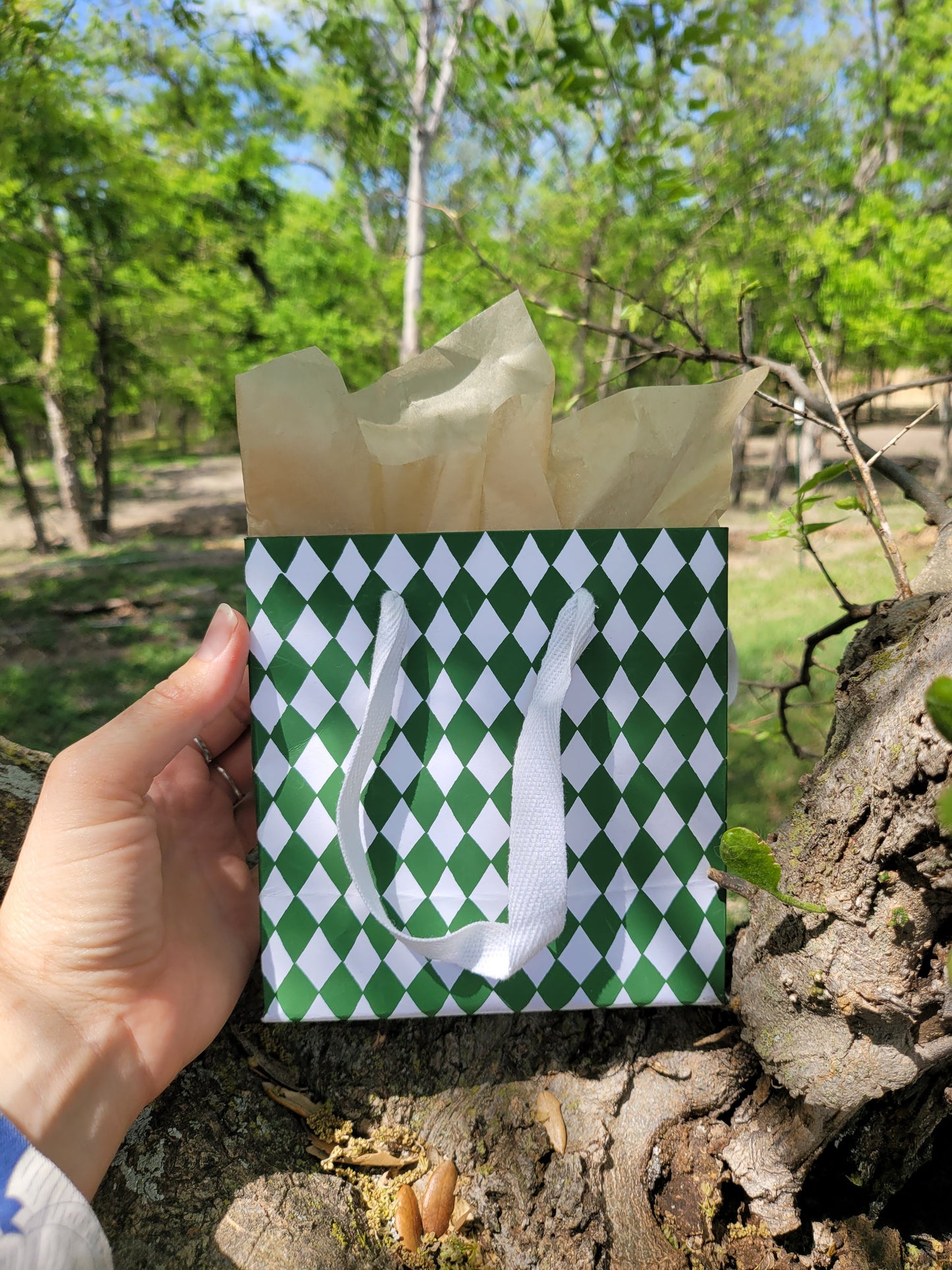 Sustainable Gift Bag (Base Price)